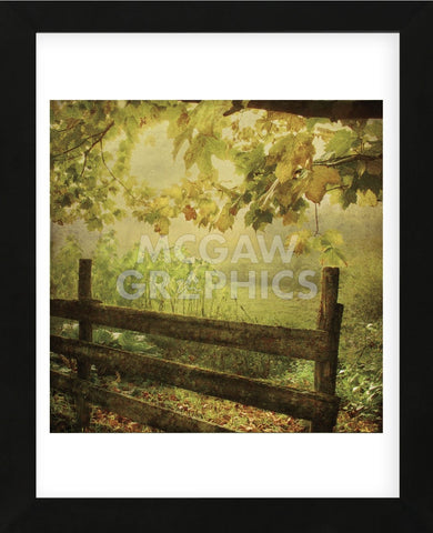 Autumn Overture (Framed) -  Dawne Polis - McGaw Graphics