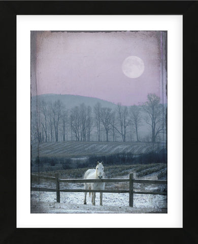 Prissy On Snowy Night (Framed) -  Dawne Polis - McGaw Graphics