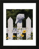 The Garden by the Sea (Framed) -  Jack Saylor - McGaw Graphics