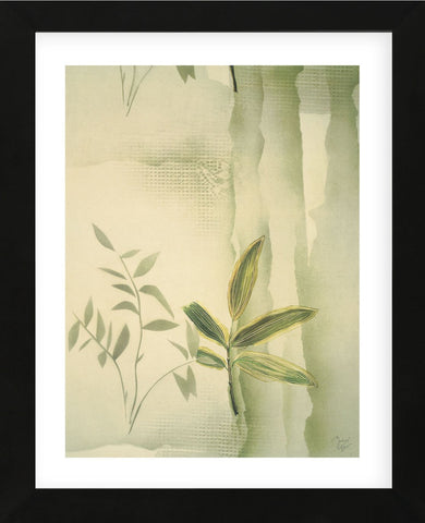 Vizcaya Ferns II  (Framed) -  Muriel Verger - McGaw Graphics