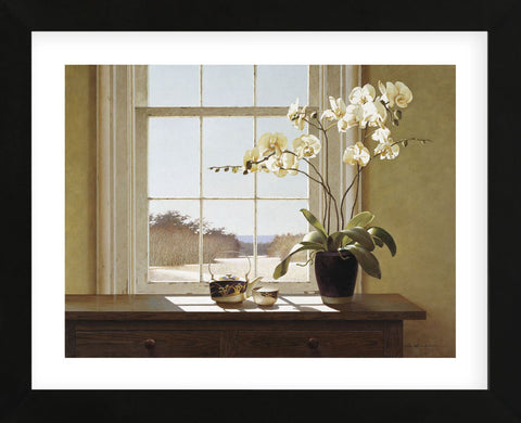 Orchids with Teapots (Framed) -  Zhen-Huan Lu - McGaw Graphics