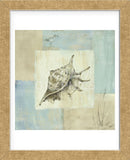 Sea Finds IV (Framed) -  Lisa Audit - McGaw Graphics