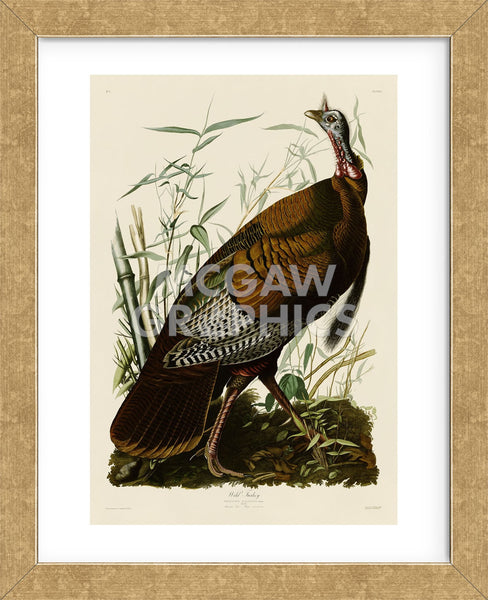 WILD TURKEY ワイルドターキー　LED額縁サインボード Wild Turkey I (Framed) | McGaw Graphics