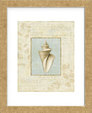 Soothing Words Shells III (Framed) -  Lisa Audit - McGaw Graphics