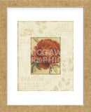 Soothing Words II (Framed) -  Lisa Audit - McGaw Graphics