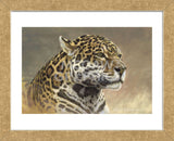 Jaguar  (Framed) -  Kalon Baughan - McGaw Graphics