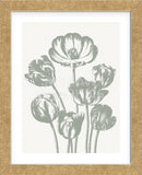 Tulips (Ivory & Sage) (Framed) -  Botanical Series - McGaw Graphics