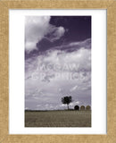 The Harvest  (Framed) -  Gill Copeland - McGaw Graphics