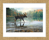 Moose Crossing (Framed) -  Russell Cobane - McGaw Graphics