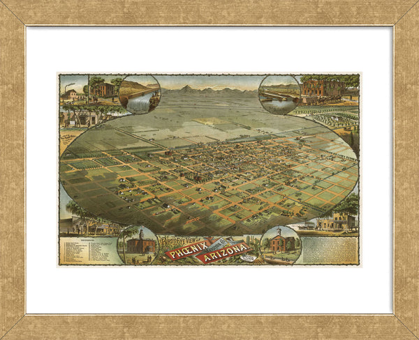 LOKZ PHOENIX 原画　一点もの　unique LOKZ PHOENIX 原画 一点もの unique LOKZ PHOENIX 原画 一点もの