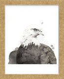 Eagle (Framed) -  Philippe Debongnie - McGaw Graphics