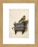 The Goldfinch, 1654 (Framed) -  Carel Fabritius - McGaw Graphics
