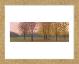 Autumn Dawn, Maples (Framed) -  Elissa Gore - McGaw Graphics