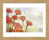 Poppies in Cream (Framed) -  Jennifer Lommers - McGaw Graphics