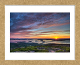 Acadia Sunrise (Framed) -  Robert Lott - McGaw Graphics