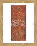 Elements (Orange) (Framed) -  J. McKenzie - McGaw Graphics