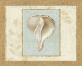 Soothing Words Shells IV (Framed) -  Lisa Audit - McGaw Graphics