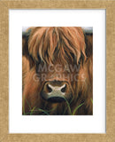 Cow Portrait (Framed) -  Sarah Stribbling - McGaw Graphics