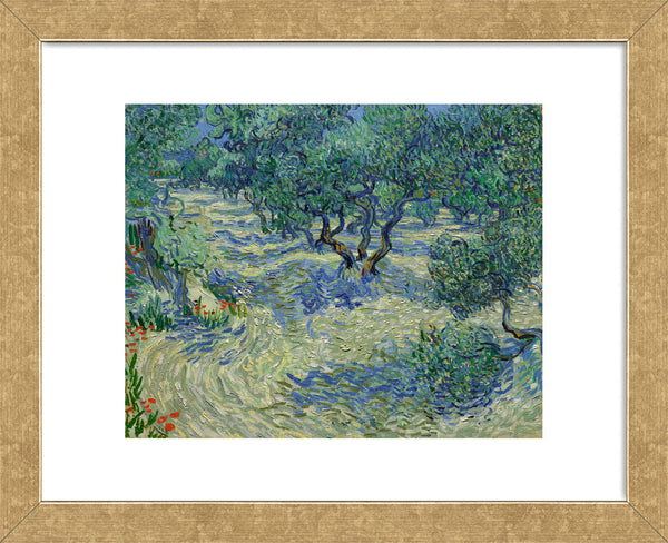 Olive Orchard, 1889 (Framed) | McGaw Graphics