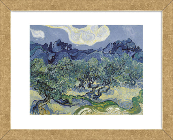 The Olive Trees, 1889 (Framed) | McGaw Graphics