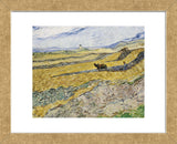 Enclosed Field with Ploughman  (Framed) -  Vincent van Gogh - McGaw Graphics