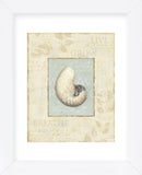 Soothing Words Shells II (Framed) -  Lisa Audit - McGaw Graphics