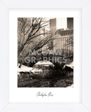 Central Park Bridges 4 (Framed) -  Chris Bliss - McGaw Graphics