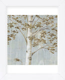 Birch Study II (Framed) -  Daphné B - McGaw Graphics