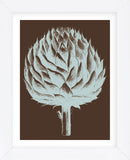 Artichoke 17 (Framed) -  Botanical Series - McGaw Graphics