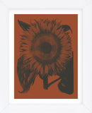 Sunflower 9 (Framed) -  Botanical Series - McGaw Graphics