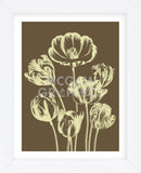 Tulip 4 (Framed) -  Botanical Series - McGaw Graphics