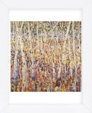 Birch Forest (Framed) -  Jean Cauthen - McGaw Graphics