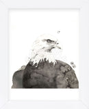 Eagle (Framed) -  Philippe Debongnie - McGaw Graphics