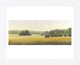High Woods Field (Framed) -  Elissa Gore - McGaw Graphics