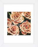 Roses  (Framed) -  Elizabeth Hellman - McGaw Graphics