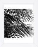 Palms 4 (detail)  (Framed) -  Jamie Kingham - McGaw Graphics