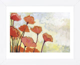 Poppies in Cream (Framed) -  Jennifer Lommers - McGaw Graphics