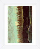 Lichen II (Framed) -  J. McKenzie - McGaw Graphics