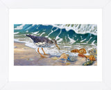 Beach Bums (Framed) -  Randy McGovern - McGaw Graphics