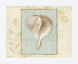 Soothing Words Shells IV (Framed) -  Lisa Audit - McGaw Graphics