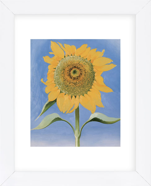 Sunflower, New Mexico, 1935 (Framed) | McGaw Graphics