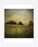 Another Place 2 (Framed) -  Crina Prida - McGaw Graphics