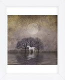 White Horse in Pond (Framed) -  Dawne Polis - McGaw Graphics