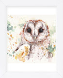 Australian Barn Owl (Framed) -  Sillier than Sally - McGaw Graphics