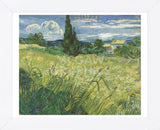 Green Field, 1889 (Framed) -  Vincent van Gogh - McGaw Graphics
