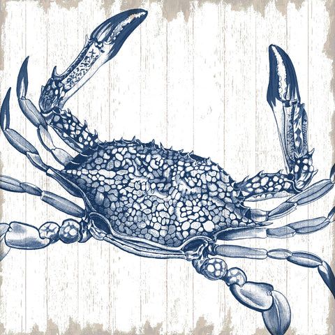Seaside Crab -  Sparx Studio - McGaw Graphics