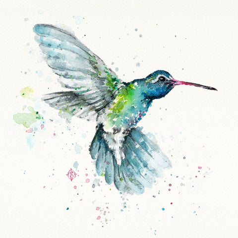 Hummingbird Flurry -  Sillier than Sally - McGaw Graphics