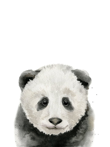 Baby Panda -  Ann Solo - McGaw Graphics
