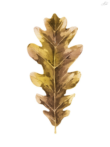 Autumn Leaf I -  Ann Solo - McGaw Graphics