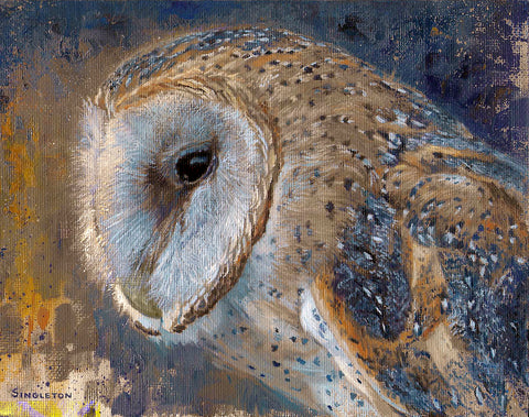 Night Owl -  Kelly Singleton - McGaw Graphics